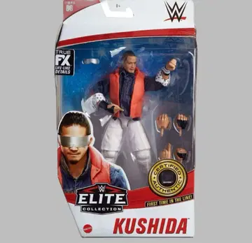 미국 프로레슬링 WWE Kushida Elite