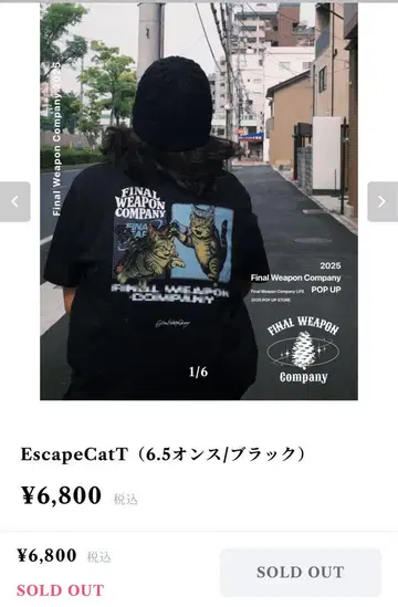 Final Weapon Company EscapeCatT L 블랙