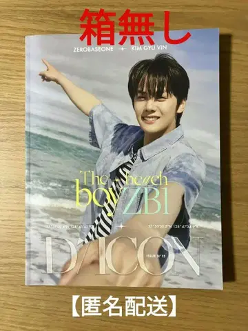 KIM GYU VIN D'ICON 매거진 세트