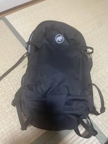 Mammut 리튬 25 블랙