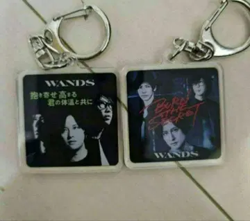 WANDS ~TIME STEW~ 랜덤 키링 우에하라 다이스케 지그재그