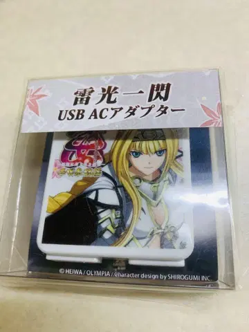 전국 오토메 USB AC 어댑터