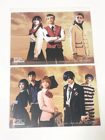 페르소나 3 특전 브로마이드