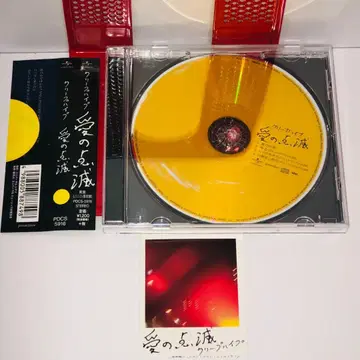 단종 오비 포함 사랑의 점멸 노랑색 한정판 CD 1장 크리프하이프