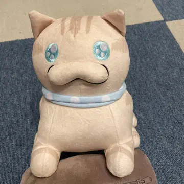 봉제 인형 고양이