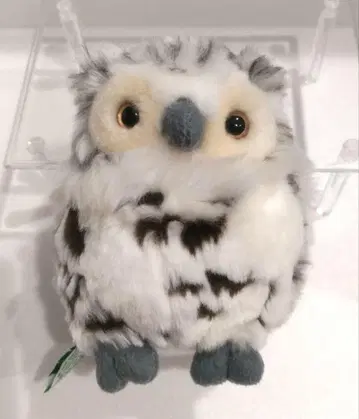 CUTE 큐트 봉제 인형 올빼미 올빼미 새