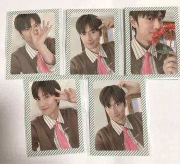 나 이누 셀 트레이딩 카드 5장