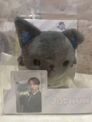 JO1 JOCHUM 제오 참 피하이 봉제 인형 포토 카드 포함