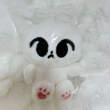 NCT127 도영 봉제 인형 원트 40cm 비둘기 왕또