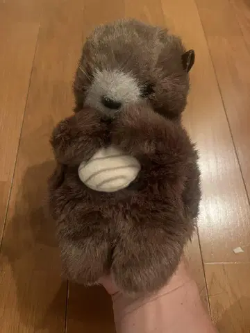 랏코 봉제 인형