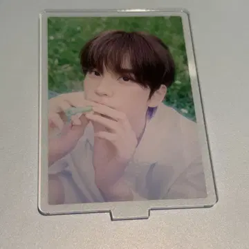 TWS 처음 뵙겠습니다 카페 cafe 아크릴 스탠드 B 시뉴