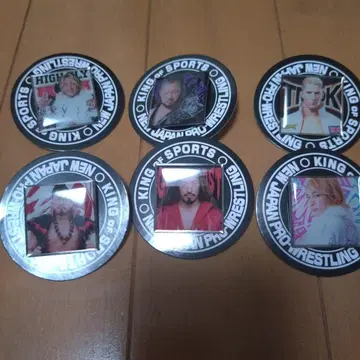 신일본 프로레슬링 핀즈 컬렉션
