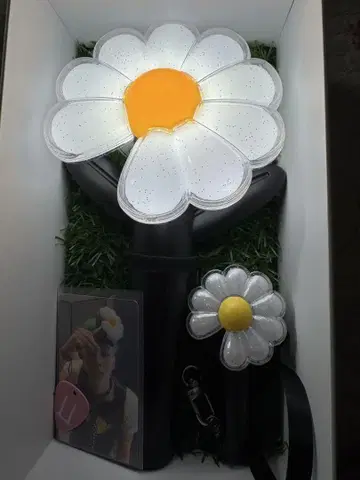 데이지 펜라이트 & 미니 펜라이트