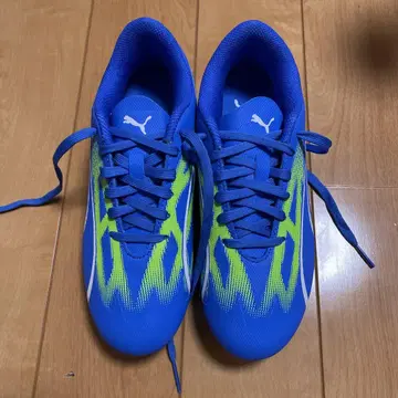 Puma 스파이크 슈즈 파랑/그린 축구 푸마