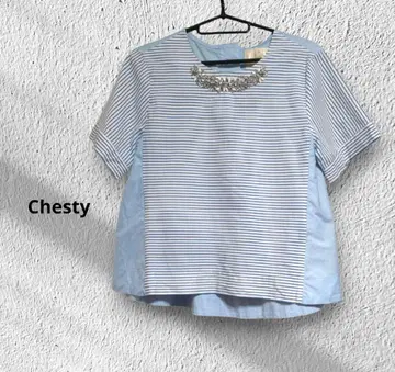 Chesty 비쥬 블라우스 보더