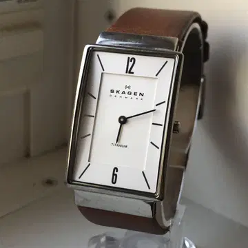 SKAGEN 스카겐 배터리 새상품 티타늄 아날로그 손목시계