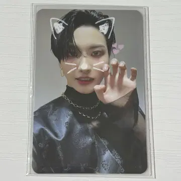 ATEEZ 트레이딩 카드 송파