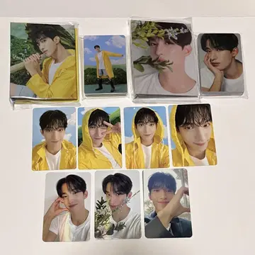 세븐틴 도겸