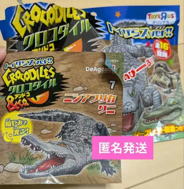 크로커다일&CO. 니시아프리카
