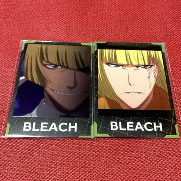 BLEACH 64 히라코 마코 인스턴트 사진풍 브로마이드 세트