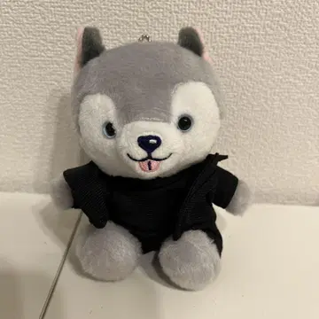 마쓰무라 호쿠토 노키도라 도리이 개 봉제 인형