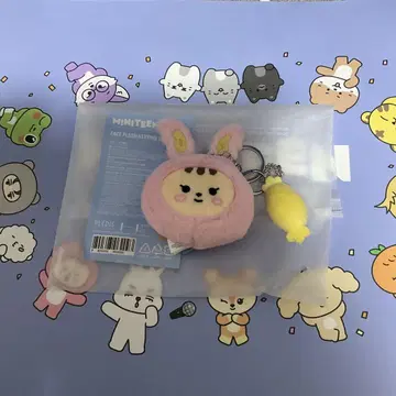 mini teen seventeen 정한 jjongtoram