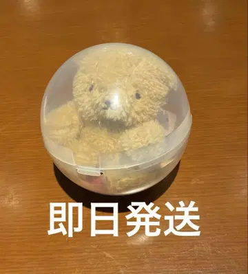 토아이 씨 가챠가챠 허그 곰 브라운 브라운 애니메이션