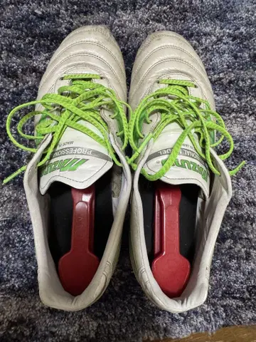 Mizuno 모레리아 한정판