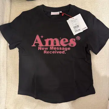 한국 Ames Worldwide 티셔츠 차콜 F