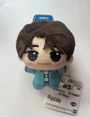 TWS SD 인형 SHINYU (시뉴) SHINYU 시뉴 신유