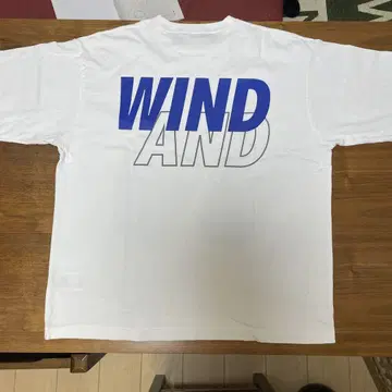 챔피온 WIND AND SEA 티셔츠 화이트
