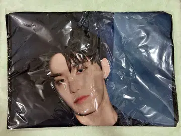 SEVENTEEN RIGHT HERE 빅 사진 타월 디노