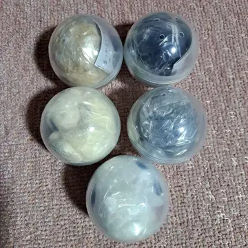 나츠카이 고양이 가챠 5종 풀 컴플리트