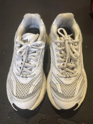 푸마 벨로파시스 WHITE-COOL MID GRAY