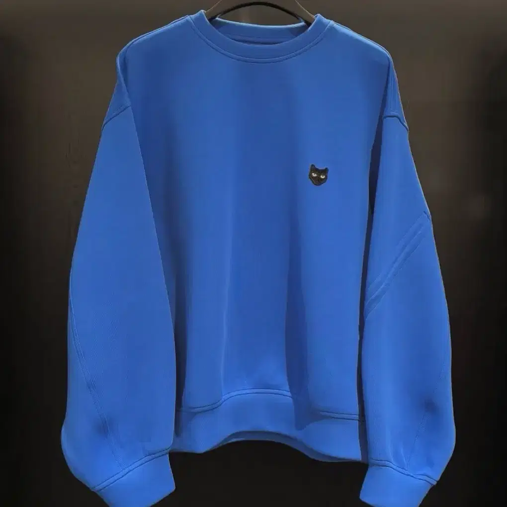 Fendi Monogram Sweatshirt on Bunjang Global Site.