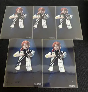 츠키나가 레오, 하시모토 쇼헤이, 혜택