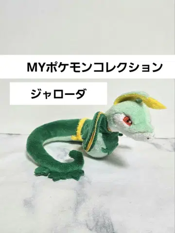MY 포케 자로다