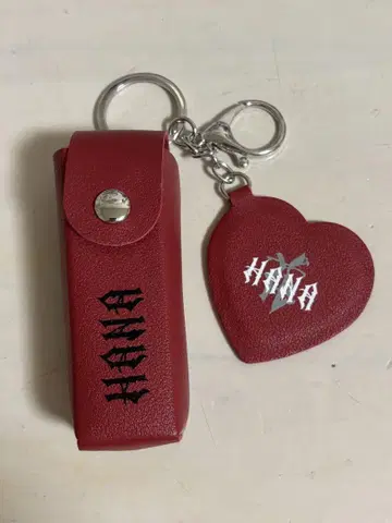 HANA 로고 립 케이스