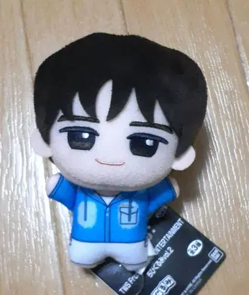 TWS SD 인형 vol.2 경민 남코 한정판 봉제 인형