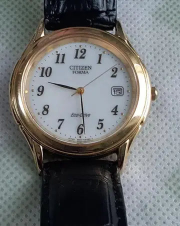 CITIZEN Eco-Drive 손목시계