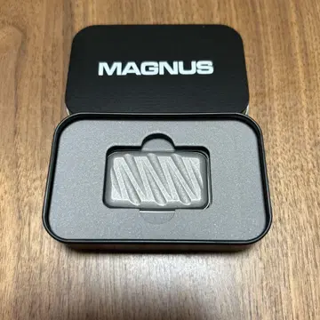 MAGNUS MagLab MLA020 지그재그 피제트 토이