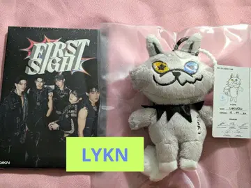 LYKN FIRST SIGHT 사진 세트 및 봉제 인형 키체인