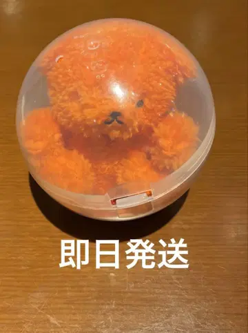 토아이 씨 가챠가챠 곰 오렌지 애니메이트