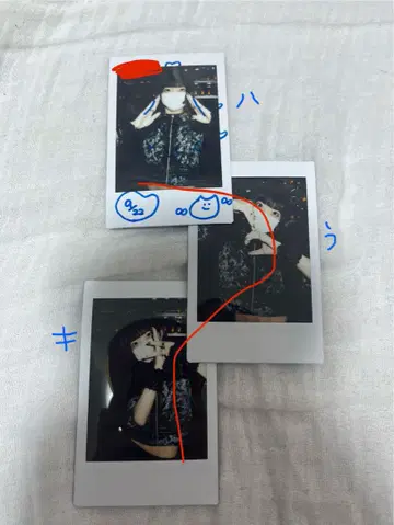 고양이 고양이 고양이 ZOCX 폴라로이드 3장 세트