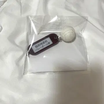 하이큐 열쇠 참 키링 이나리자키