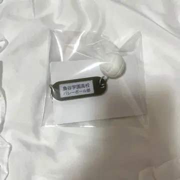 하이큐 열쇠 참 키링 부엉이