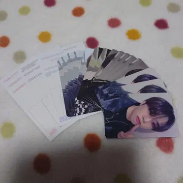 The boyz 선우 세트