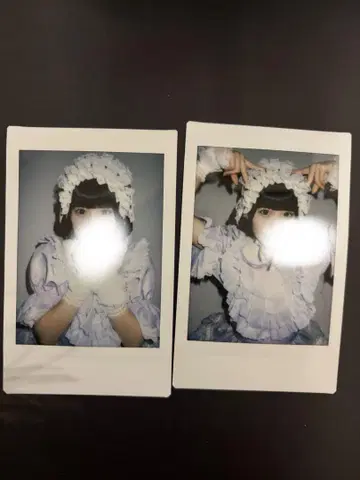 무지개 깃털에 폴라로이드