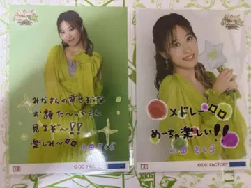 오다 사쿠라 코레샤