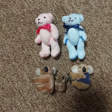 미니 베어 페어와 코알라의 부모와 아이
